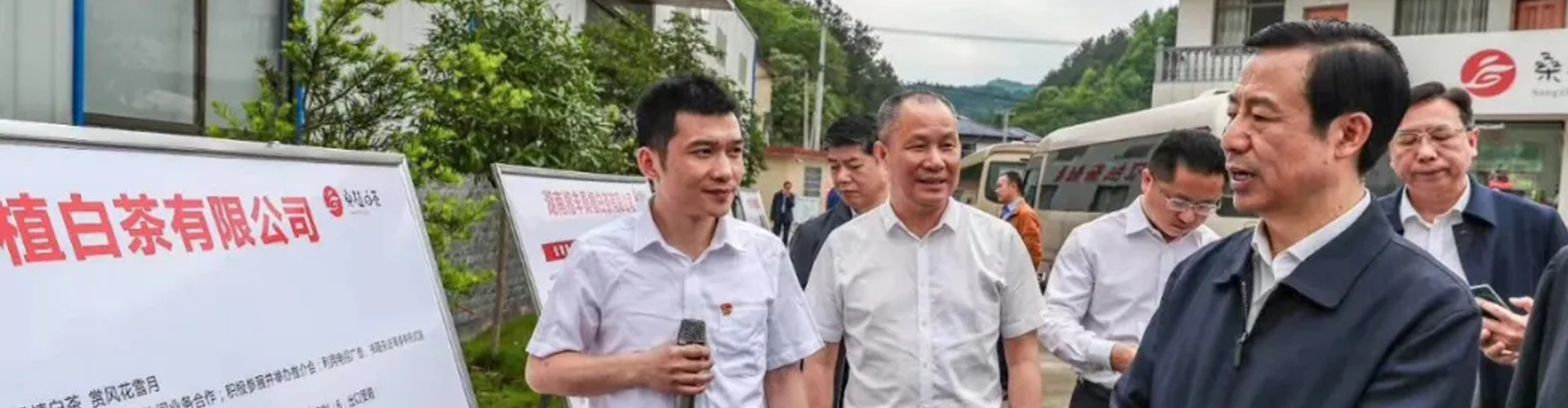 湖南省委副书记、省长许达哲视察KY平台-KY(中国)一站式服务平台桑植白茶公司 湖南省委副书记、省长许达哲视察KY平台-KY(中国)一站式服务平台桑植白茶公司