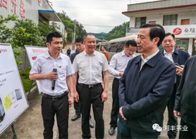 湖南省委副书记、省长许达哲视察KY平台-KY（中国）一站式服务平台桑植白茶公司