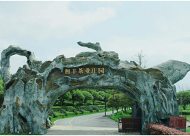 KY平台-KY（中国）一站式服务平台茶业获评湖南农业优势特色产业30强企业