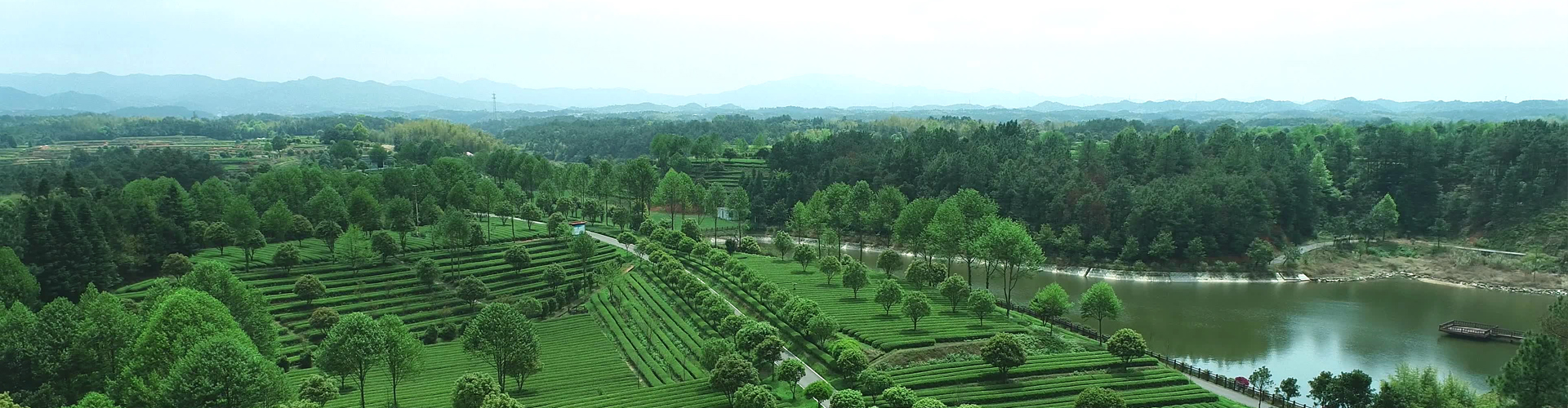 苏州市市委副书记朱民一行考察KY平台-KY(中国)一站式服务平台
苏州市市委副书记朱民一行考察KY平台-KY(中国)一站式服务平台