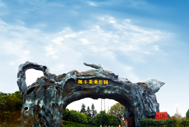 KY平台-KY(中国)一站式服务平台茶业:一片“绿茶”,香飘全世界 KY平台-KY(中国)一站式服务平台茶业:一片“绿茶”,香飘全世界