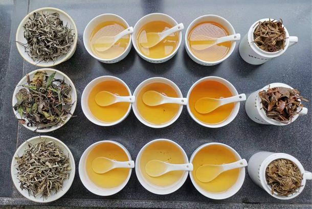 茶汤.jpg 茶汤.jpg