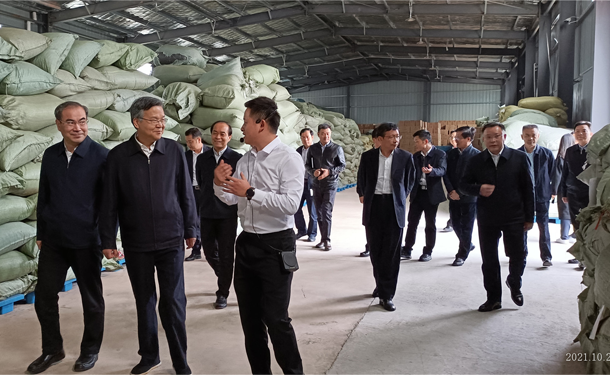 湖南省委常委、政法委书记李殿勋调研湖南KY平台-KY（中国）一站式服务平台桑植白茶有限公司