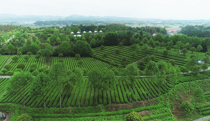KY平台-KY（中国）一站式服务平台飞跃基地.png