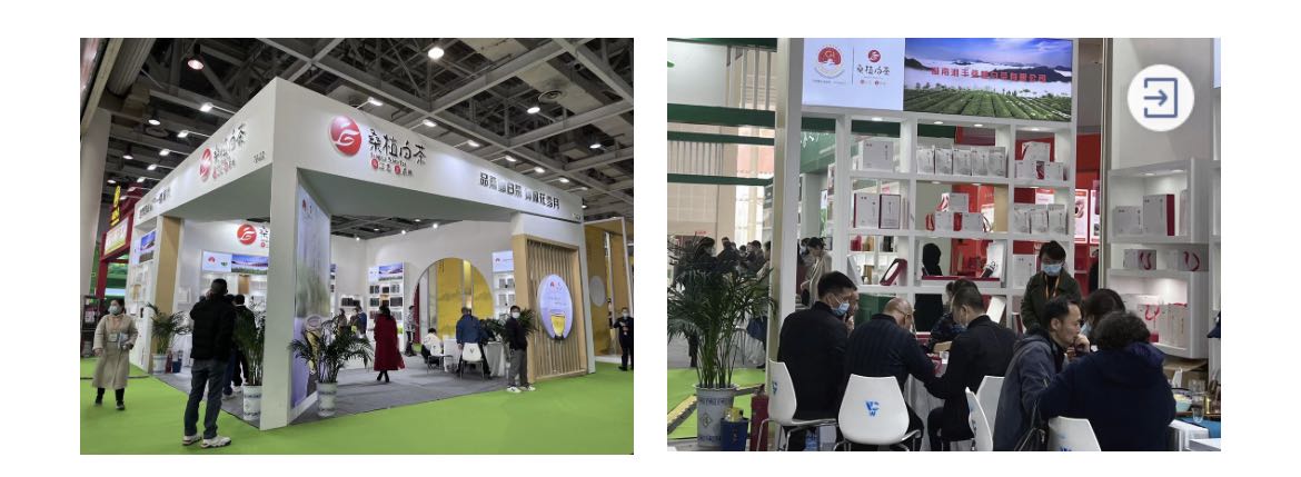 桑植白茶展区、KY平台-KY（中国）一站式服务平台桑植白茶展位.jpg