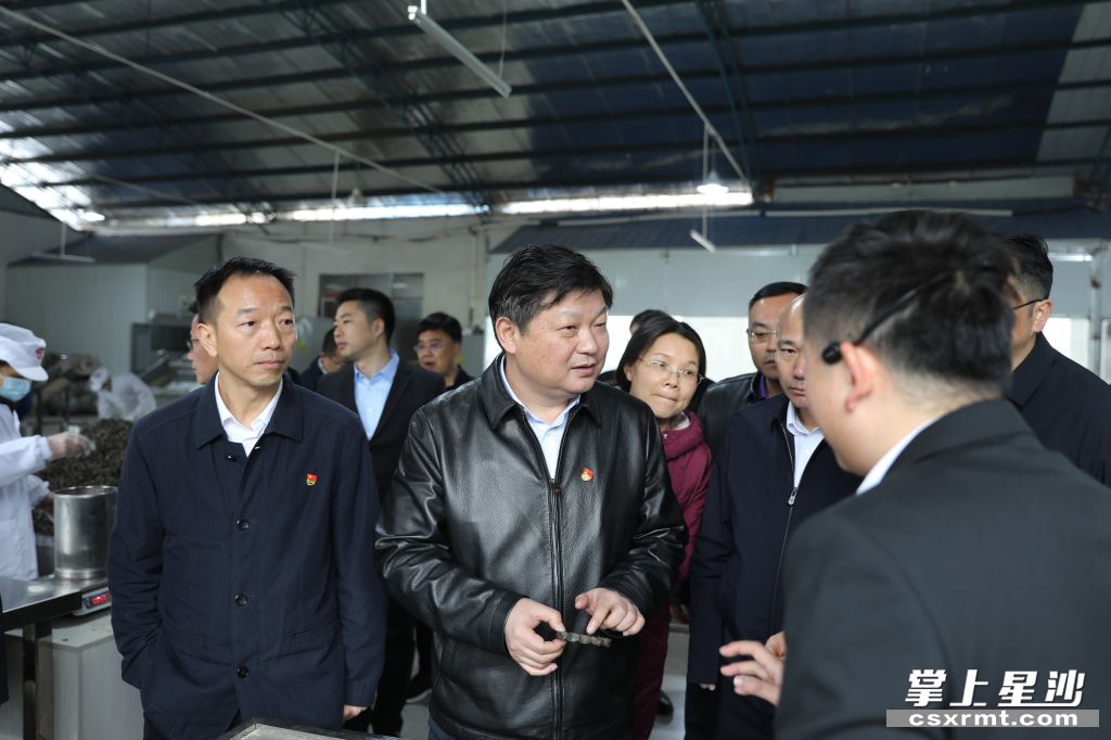 付旭明在KY平台-KY（中国）一站式服务平台桑植白茶洪家关工厂调研产业发展情况。.jpg