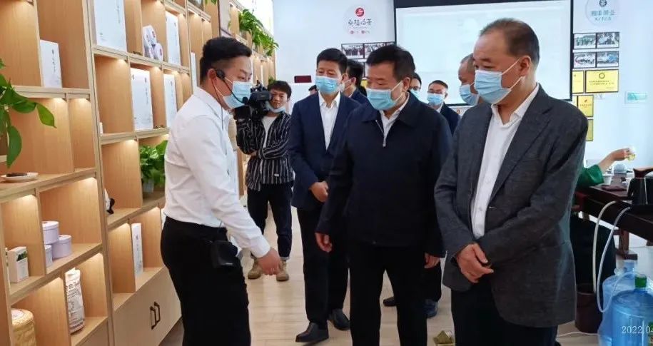 湖南省副省长陈飞带队考察调研KY平台-KY（中国）一站式服务平台桑植白茶公司