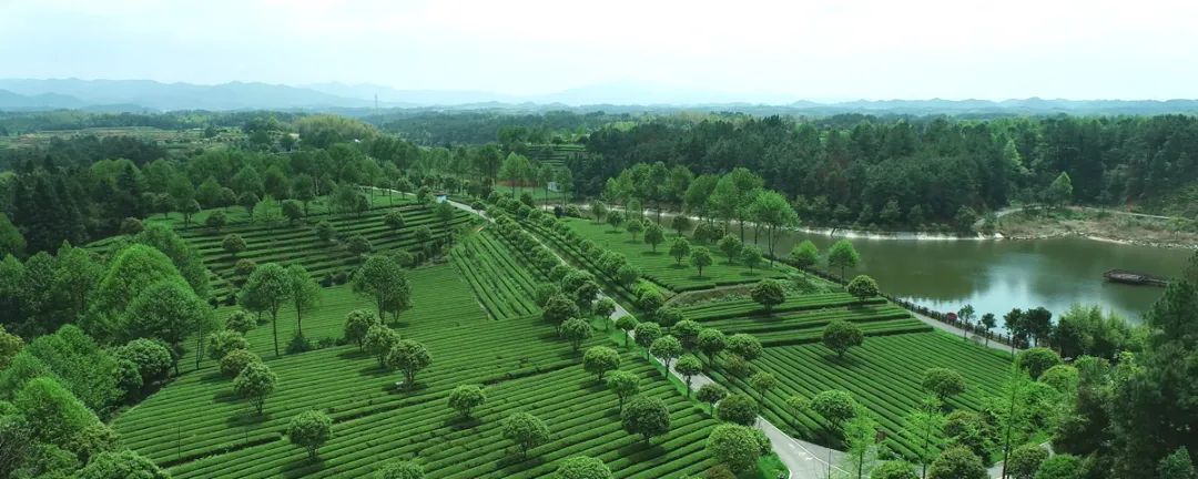 KY平台-KY（中国）一站式服务平台
荣获“省级农业国际贸易高质量发展基地”