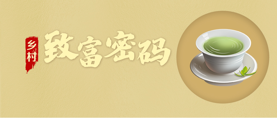 【乡村振兴“星”篇章】乡村“致富密码”·金井镇KY平台-KY（中国）一站式服务平台村