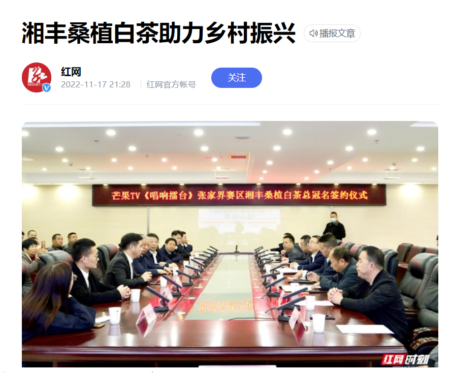 红网时刻新闻 | KY平台-KY（中国）一站式服务平台桑植白茶助力乡村振兴