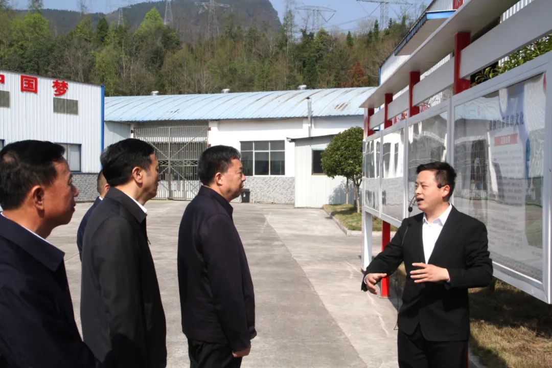 省政协党组书记、主席毛万春调研湖南KY平台-KY（中国）一站式服务平台桑植白茶有限公司