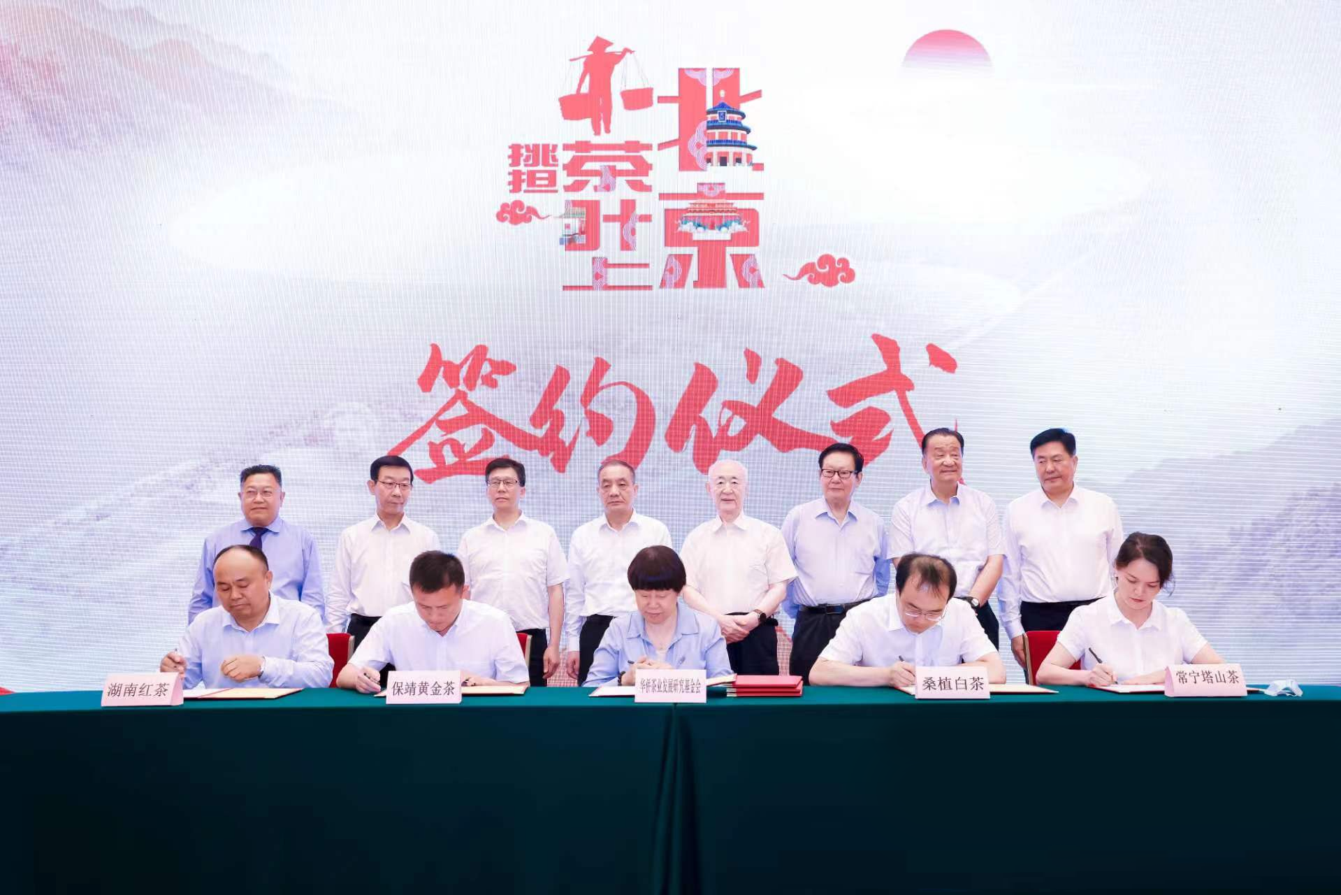 KY平台-KY(中国)一站式服务平台桑植白茶受邀亮相北京人民大会堂 KY平台-KY(中国)一站式服务平台桑植白茶受邀亮相北京人民大会堂
