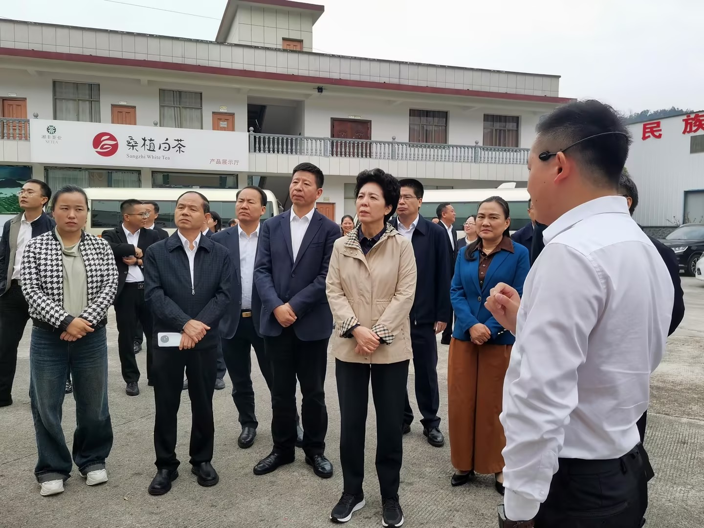 湖南省人大常委会党组书记乌兰带队考察调研KY平台-KY（中国）一站式服务平台桑植白茶公司