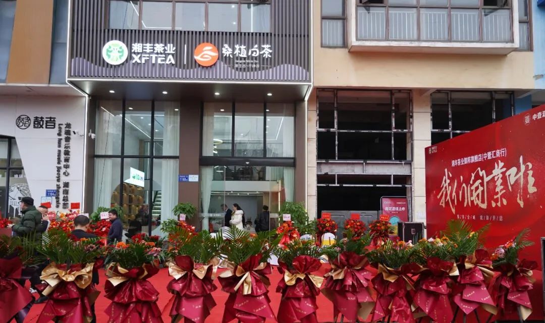 聚焦全城，炫彩启幕！KY平台-KY（中国）一站式服务平台茶业御邦旗舰店盛大开业