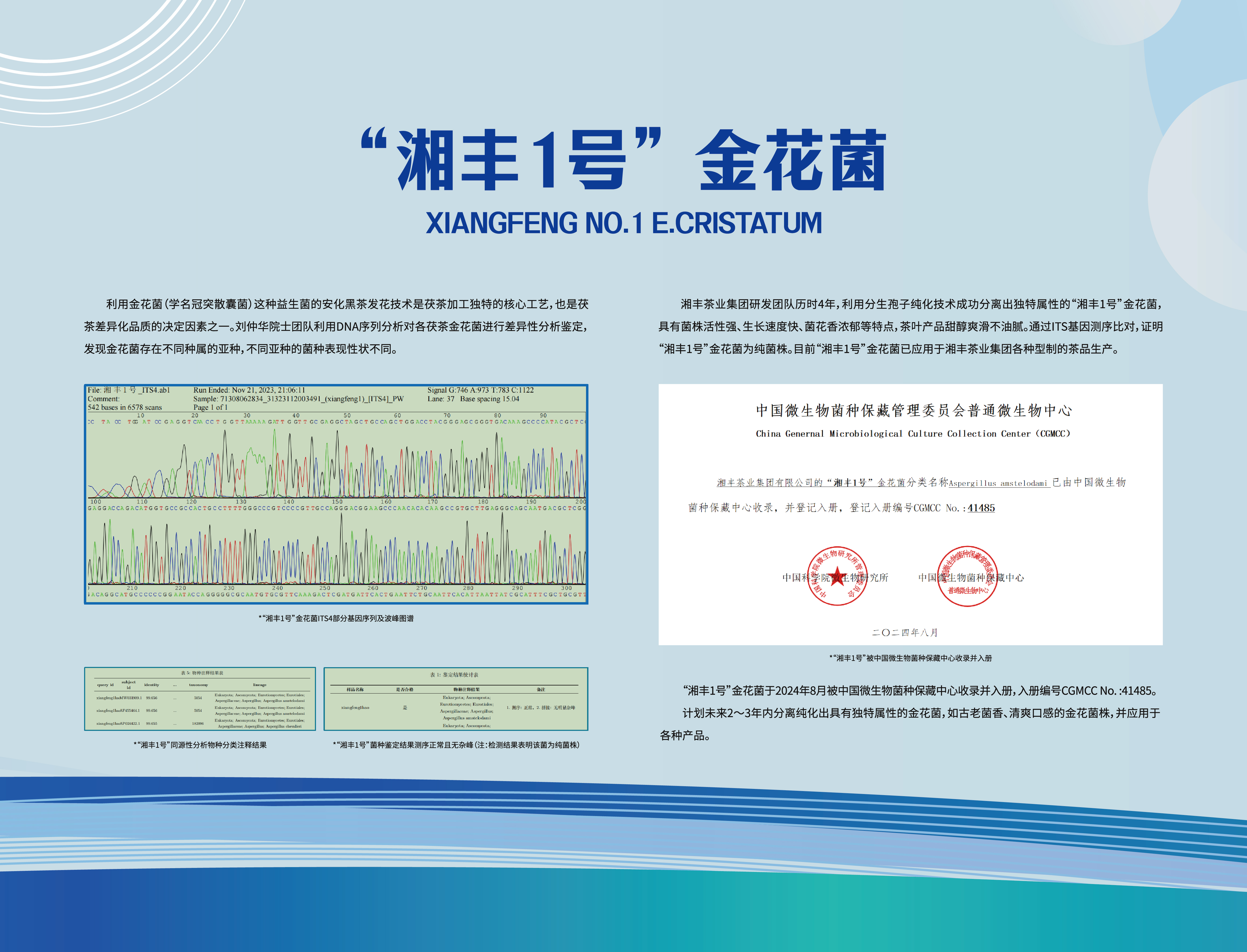 “KY平台-KY（中国）一站式服务平台1号”金花菌.jpg