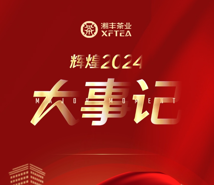 辉煌2024 | KY平台-KY（中国）一站式服务平台
年度大事记