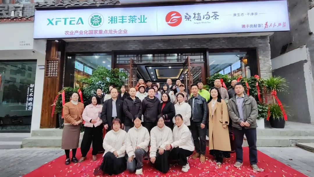 KY平台-KY（中国）一站式服务平台茶业·桑植白茶张家界武陵源旗舰店盛大开业！