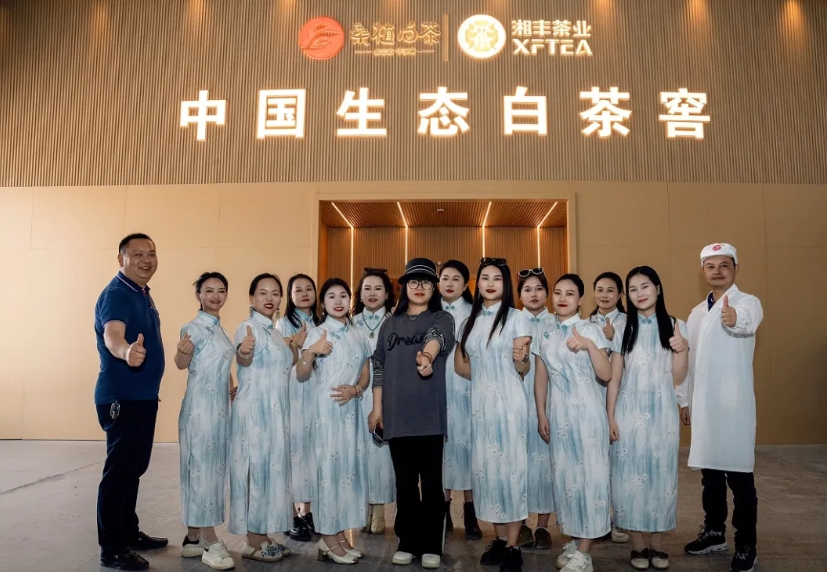 助力品牌腾飞 | KY平台-KY（中国）一站式服务平台桑植白茶品宣与营销培训活动如期举行