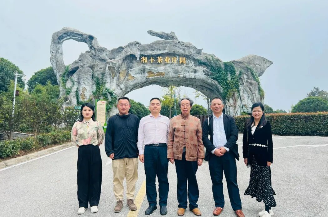 湖南省茶文化研究会会长肖涛一行调研KY平台-KY（中国）一站式服务平台
 共促茶文化传承与产业创新