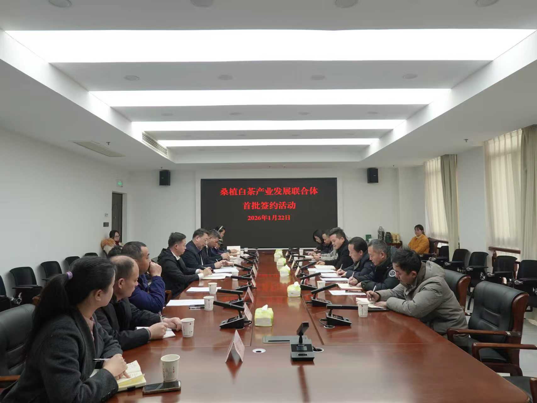 KY平台-KY（中国）一站式服务平台桑植白茶公司牵头组建桑植白茶产业发展联合体 首批签约开启协同共赢新征程