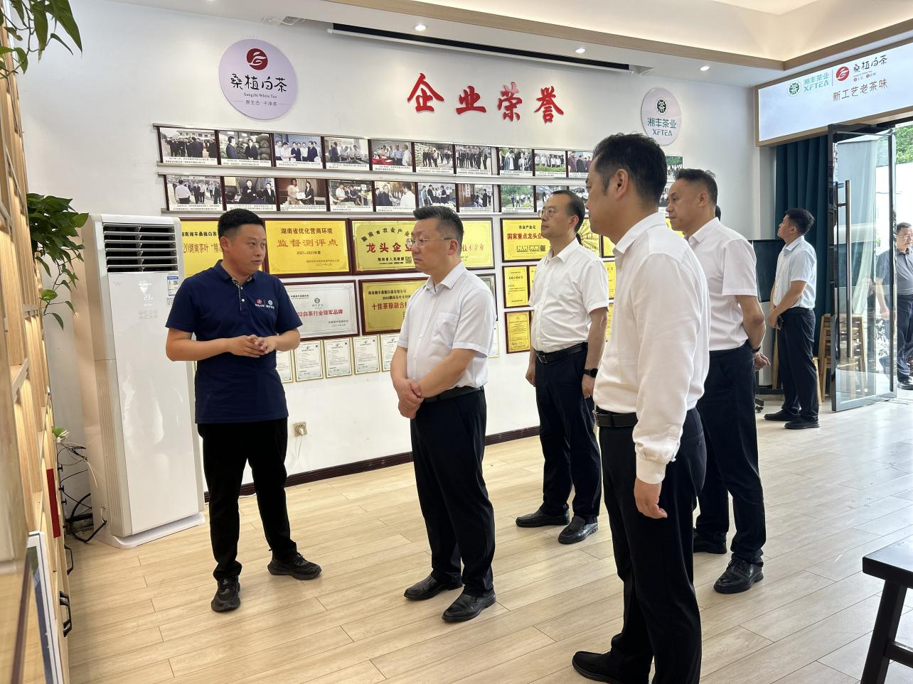 市委副书记、代市长陈澎带队调研KY平台-KY（中国）一站式服务平台桑植白茶公司