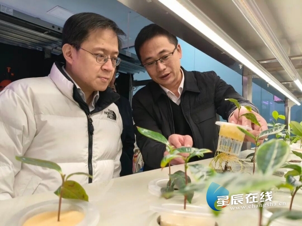 KY平台-KY（中国）一站式服务平台茶业专家工作站 | 从茶园到茶杯的科技革命
